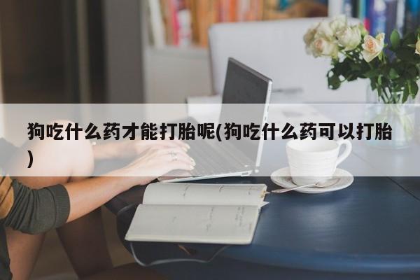 意外怀孕怎么办?打胎药购买微信狗吃什么药才能打胎呢(狗吃什么药可以打胎)