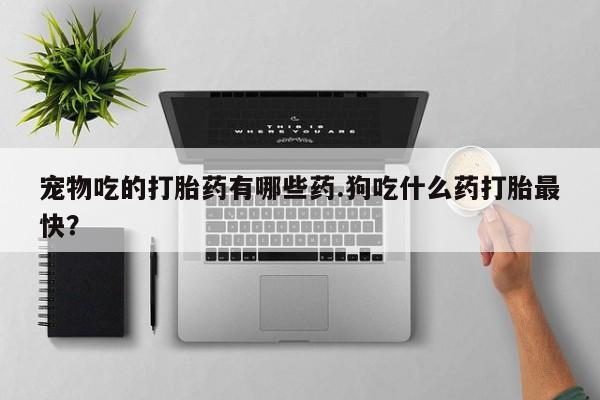 意外怀孕怎么办?打胎药购买微信宠物吃的打胎药有哪些药.狗吃什么药打胎最快？